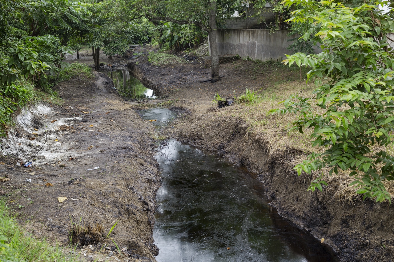 Crisis ambiental en Veracruz: Residuos de hidrocarburo impactan playas de la zona conurbada