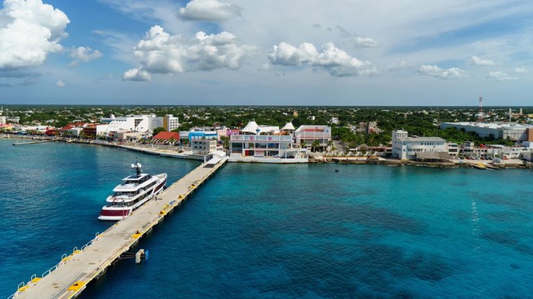Domina el santuario marino con la guía maestra de Cozumel 2026