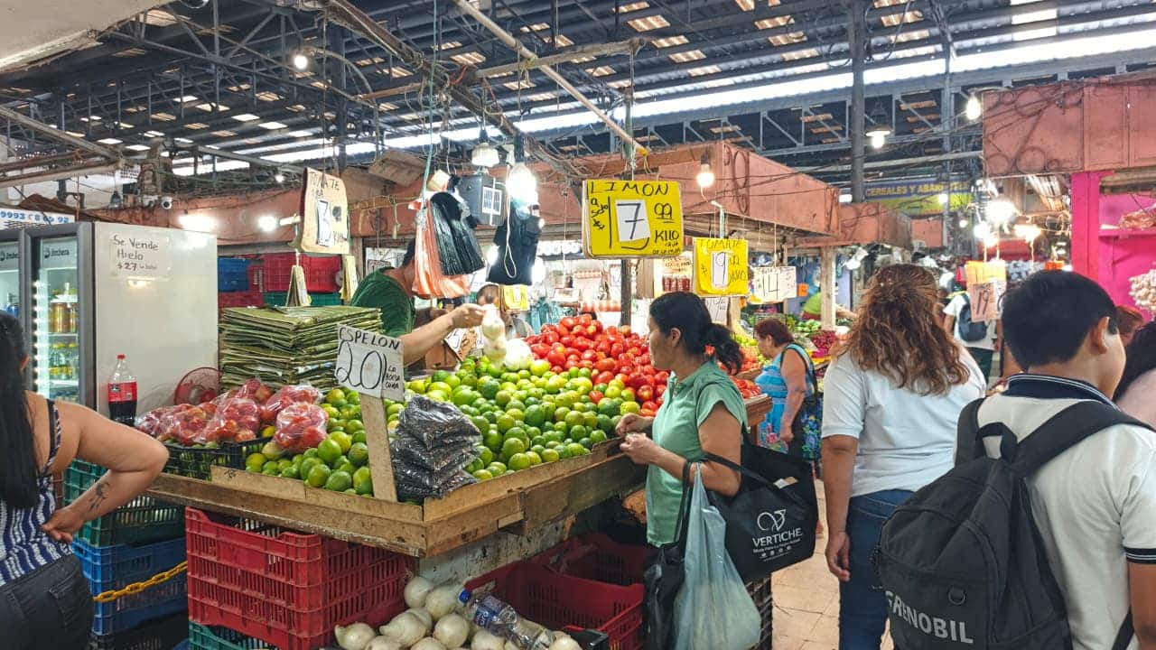 Ahorra en Cuaresma 2026: guía para comprar pescado barato y fresco