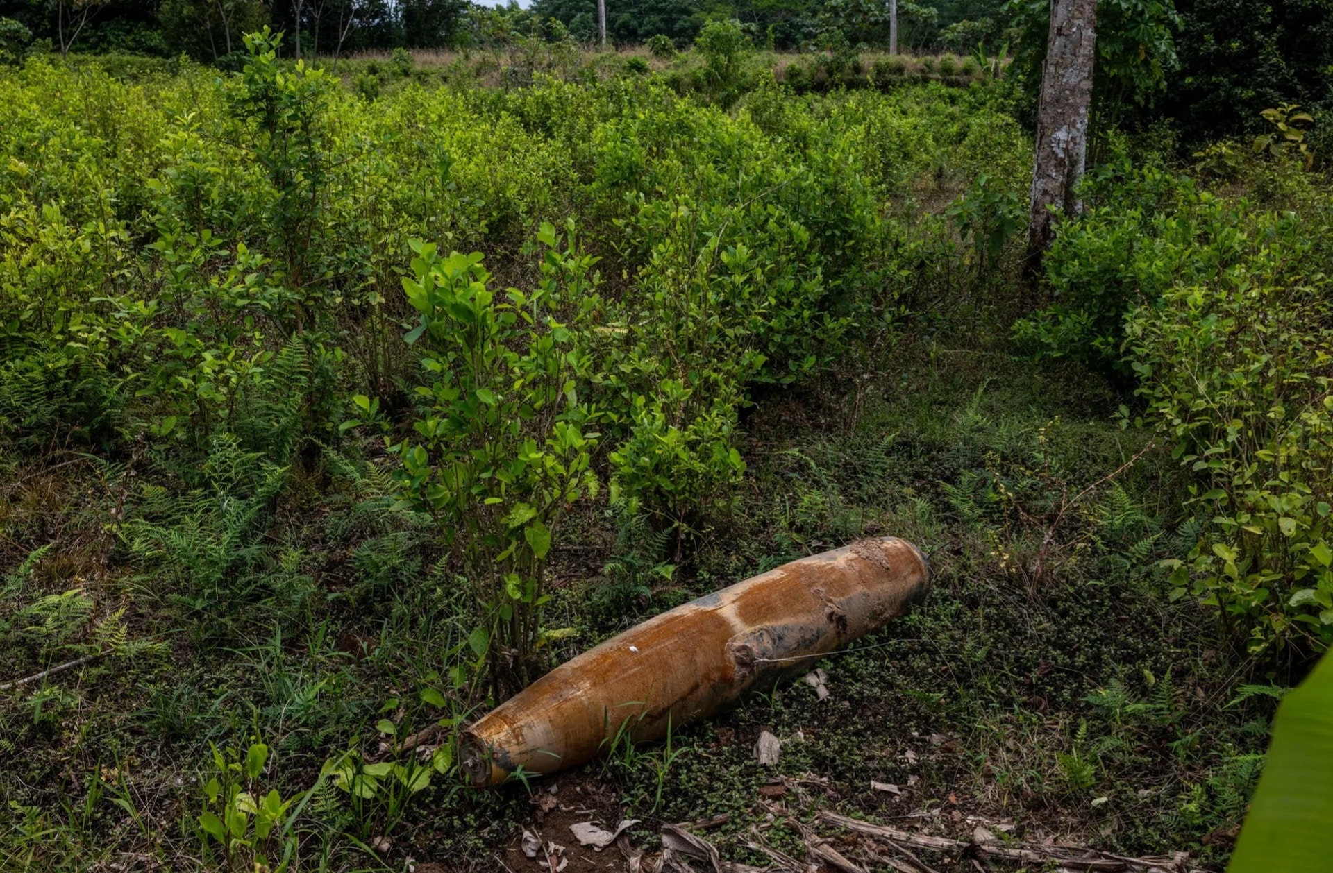 Crisis en Putumayo: Colombia y Ecuador activan protocolos diplomáticos por presunta incursión militar