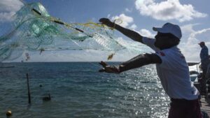 Regulariza tu vehículo en Quintana Roo hoy para asegurar el subsidio total 1 inversion pesca quintana roo sedarpe