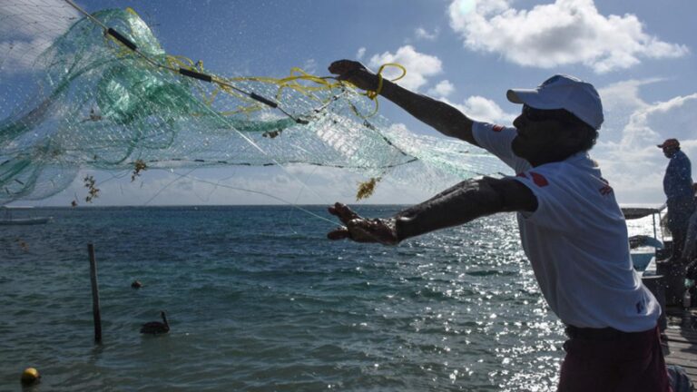 Quintana Roo moderniza la pesca con inversión de 8 millones de pesos