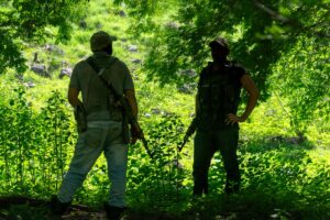 Justicia para Roberto Chávez: Michoacán enfrenta una crisis ambiental crítica 1 judicializacion menores michoacan crimen organizado