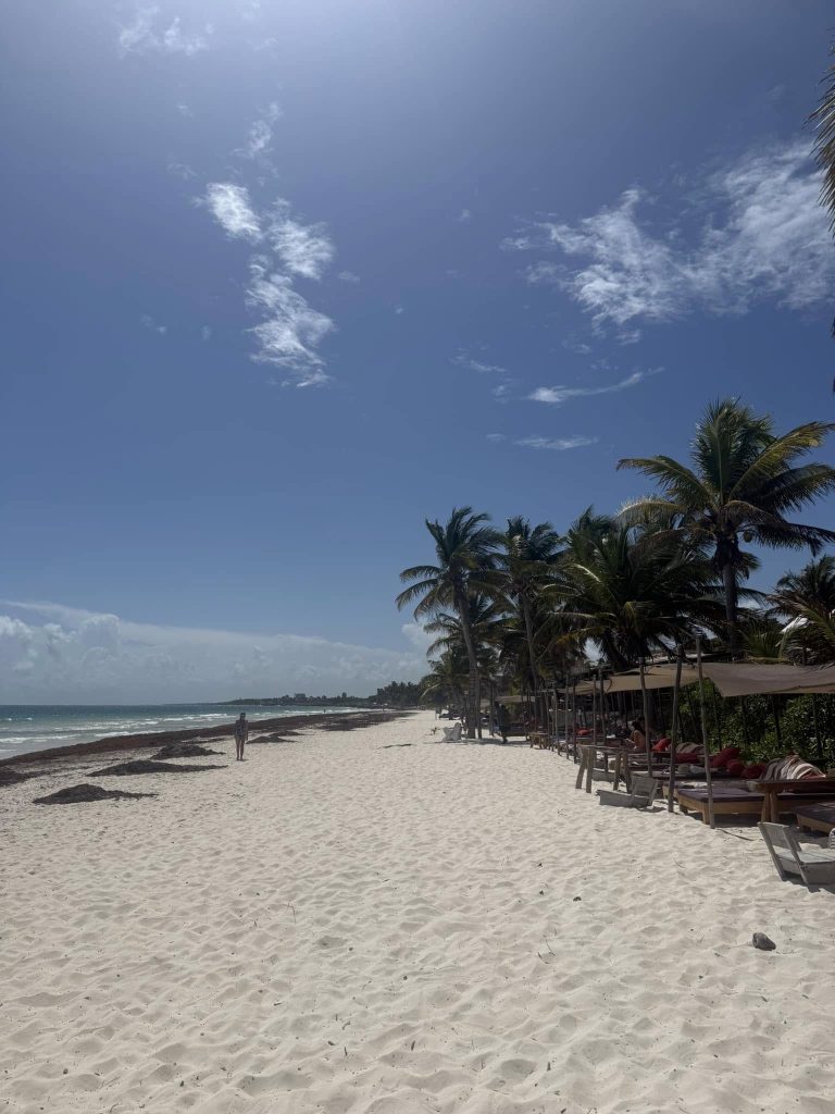 Clima en Playa del Carmen: Lunes ideal con sol y brisa caribeña