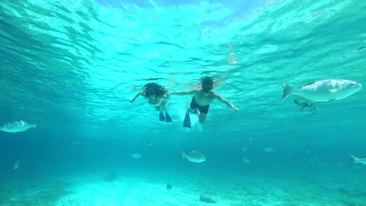 Clima en Cozumel: guía técnica para el 8 de marzo y agenda cultural por el Día de la Mujer