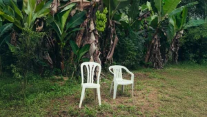 Monobloc: el secreto del icono de plástico que conquistó el diseño global