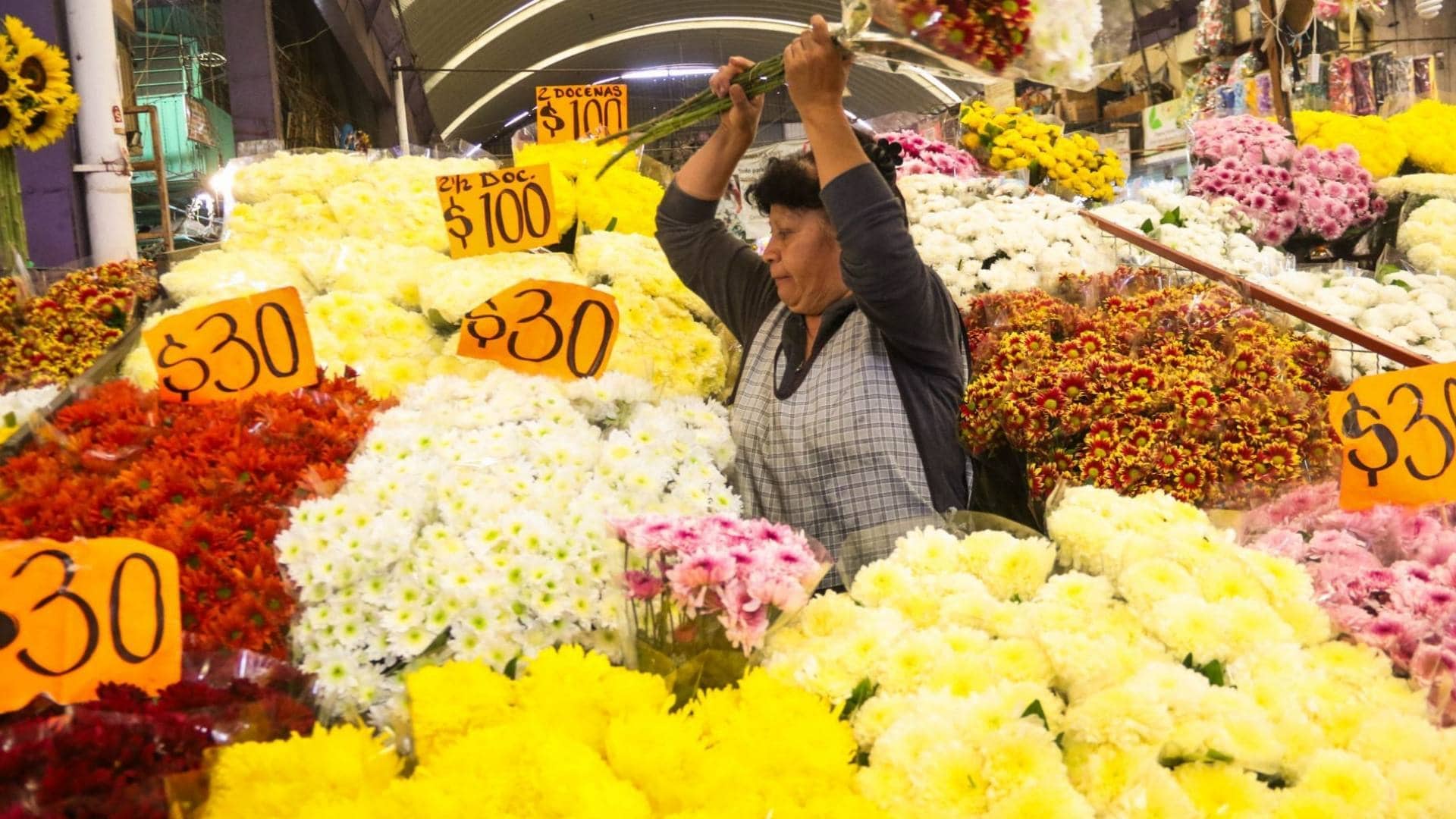El fenómeno de las flores amarillas impulsa un récord económico este 21 de marzo
