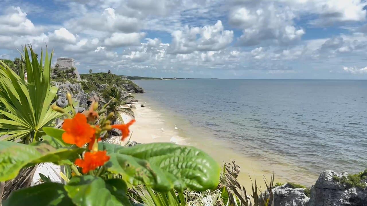 Tulum 4 de marzo: Así impactará el clima y cómo prepararte