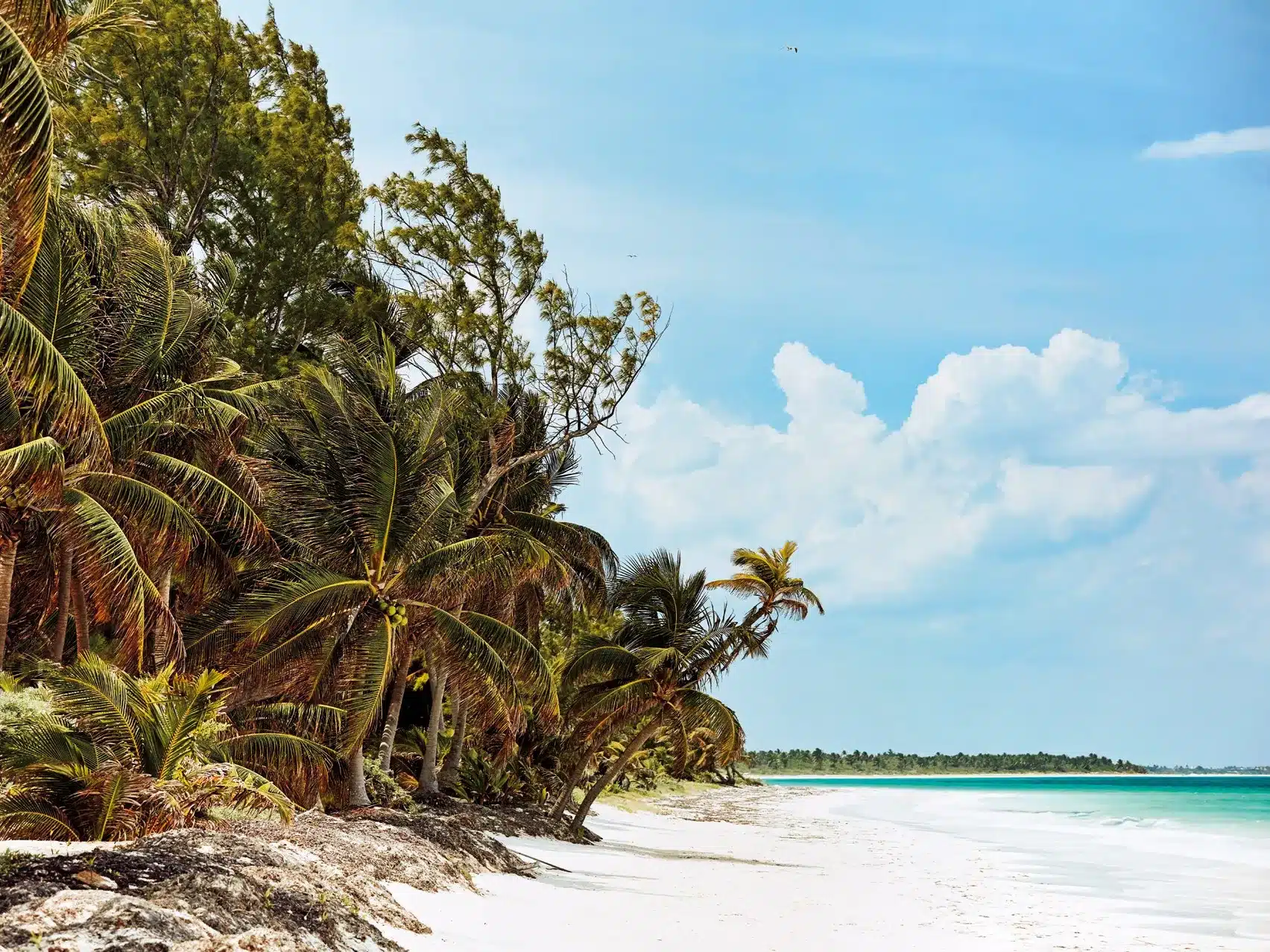 Asegura tu recorrido por Tulum con el clima de este 9 de marzo