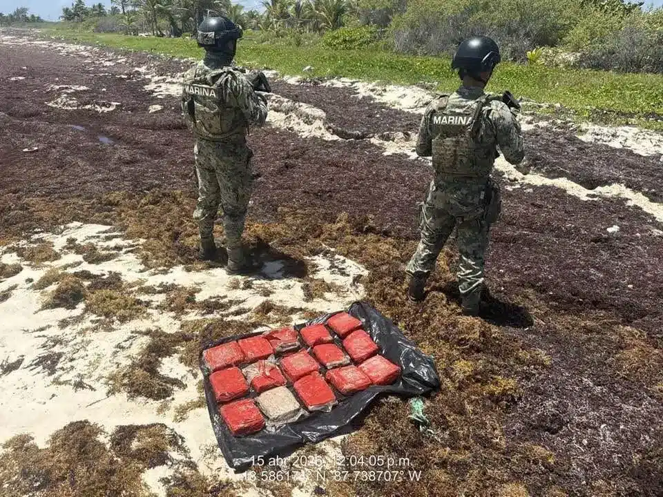 Elementos de la Marina aseguran paquetes de marihuana durante un operativo en las playas de Mahahual, Quintana Roo.