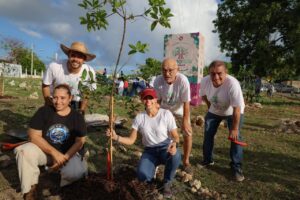 cancun ciudad arbol fao gestion urbana