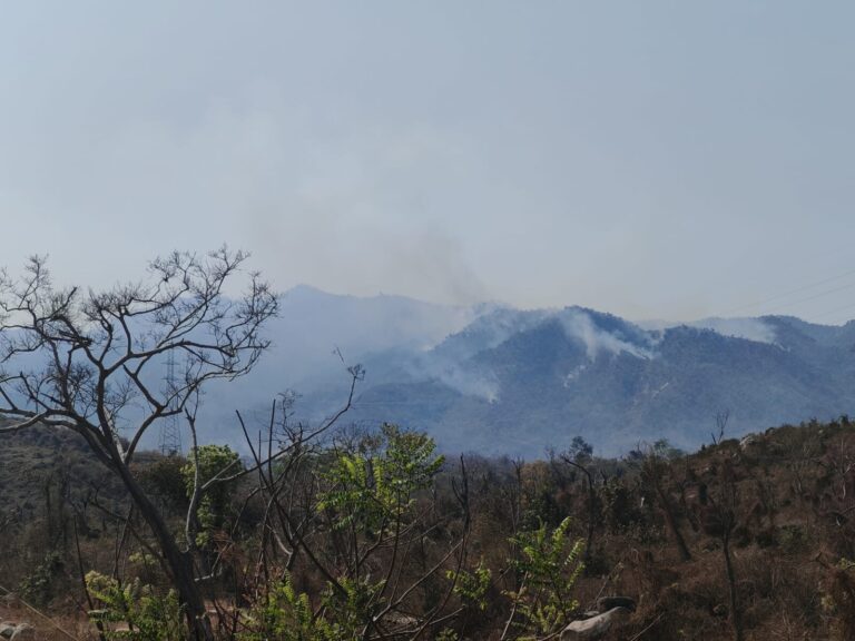 Controlan incendio en El Veladero tras afectar 500 hectáreas de reserva