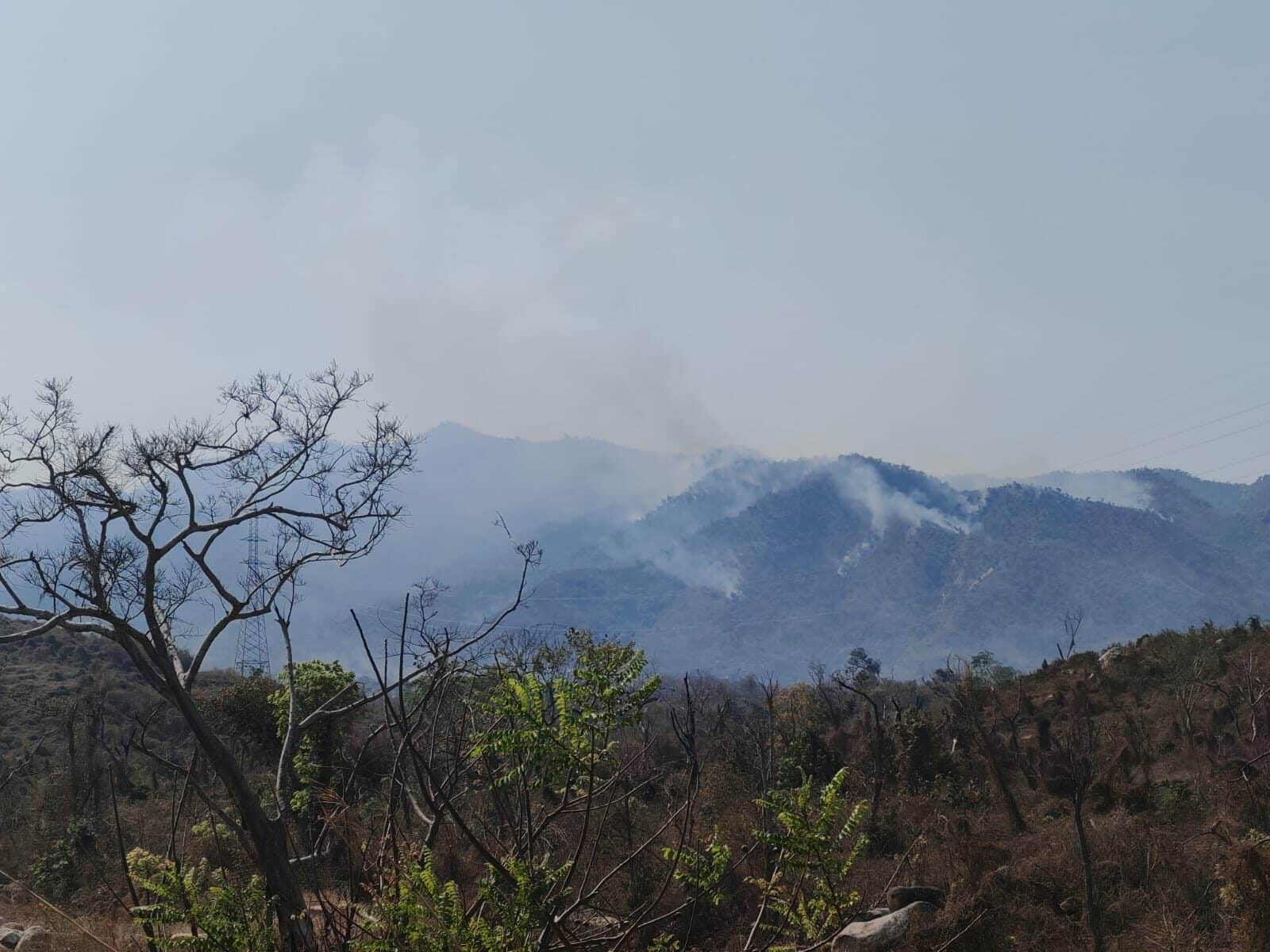 Controlan incendio en El Veladero tras afectar 500 hectáreas de reserva