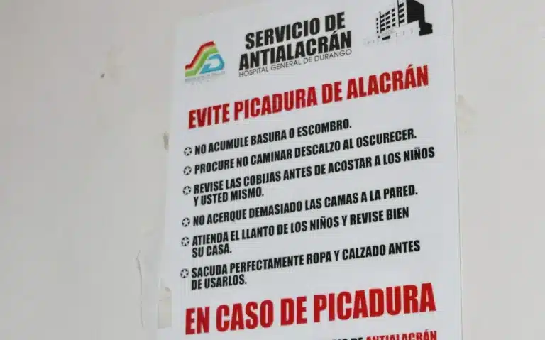Emergencia sanitaria en Durango por letalidad de picaduras de alacrán