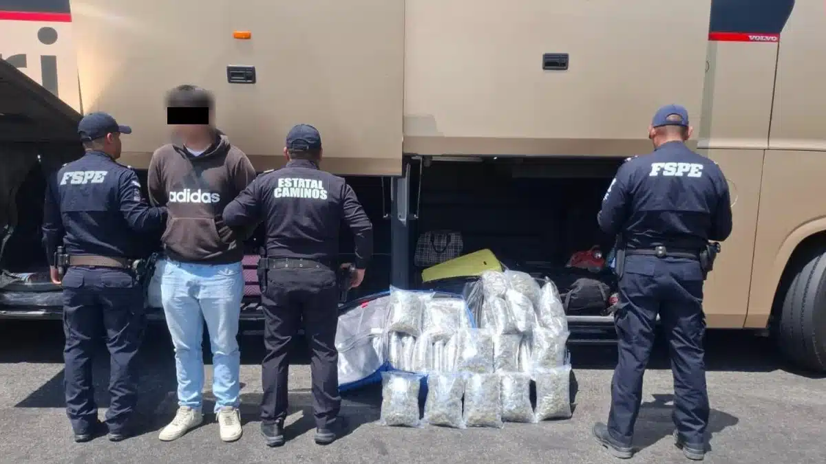 Detienen a joven con cargamento masivo de mariguana en autobús de lujo