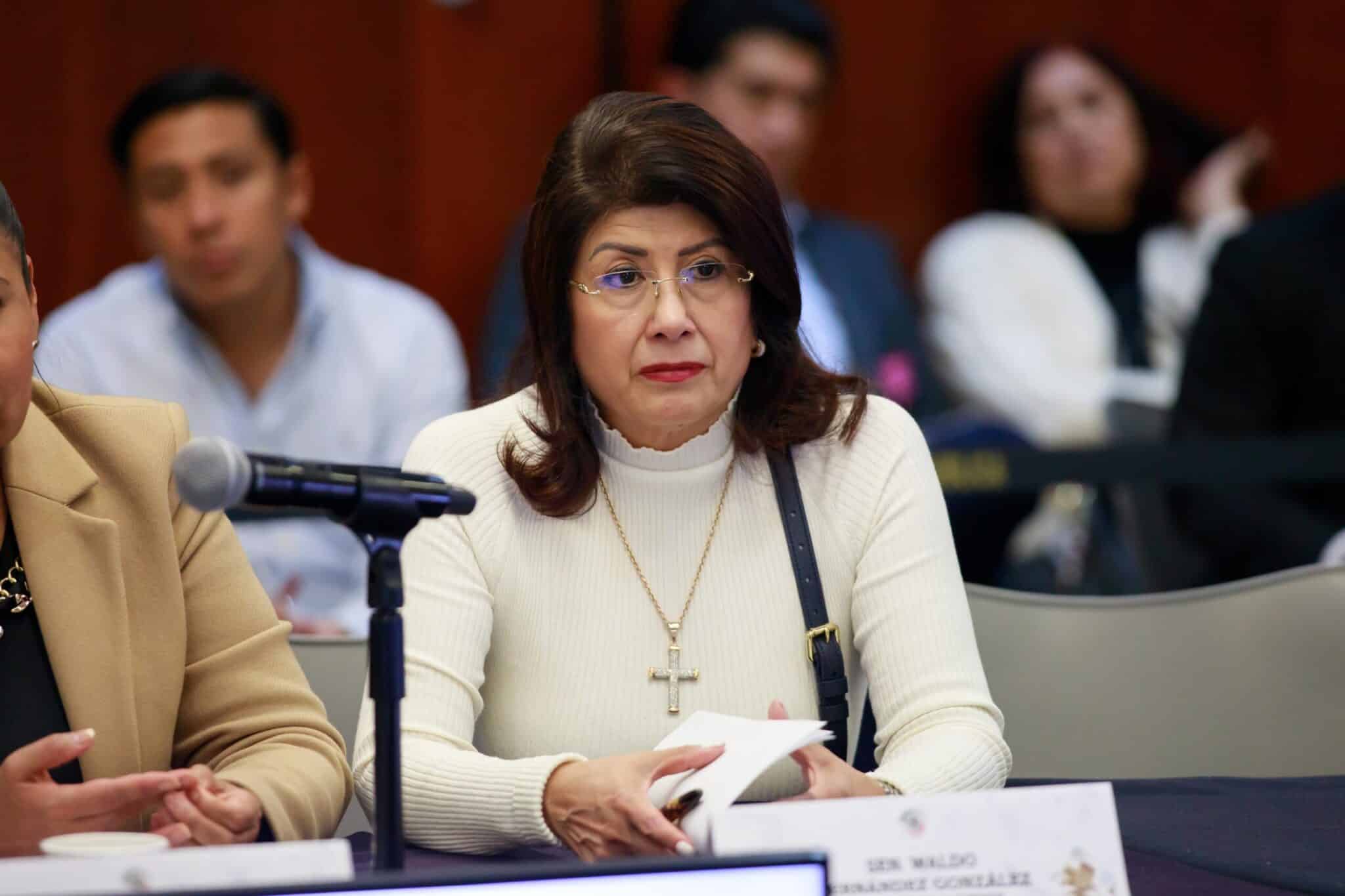 Gestión sanitaria animal en Tecámac: balance de control poblacional y bienestar