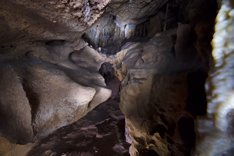 Secretos neandertales emergen tras 40.000 años de aislamiento en Gibraltar