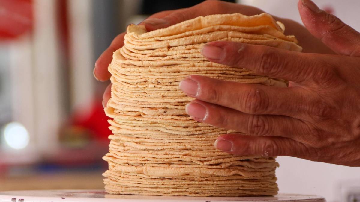 Frenar el encarecimiento de la tortilla protege la estabilidad familiar