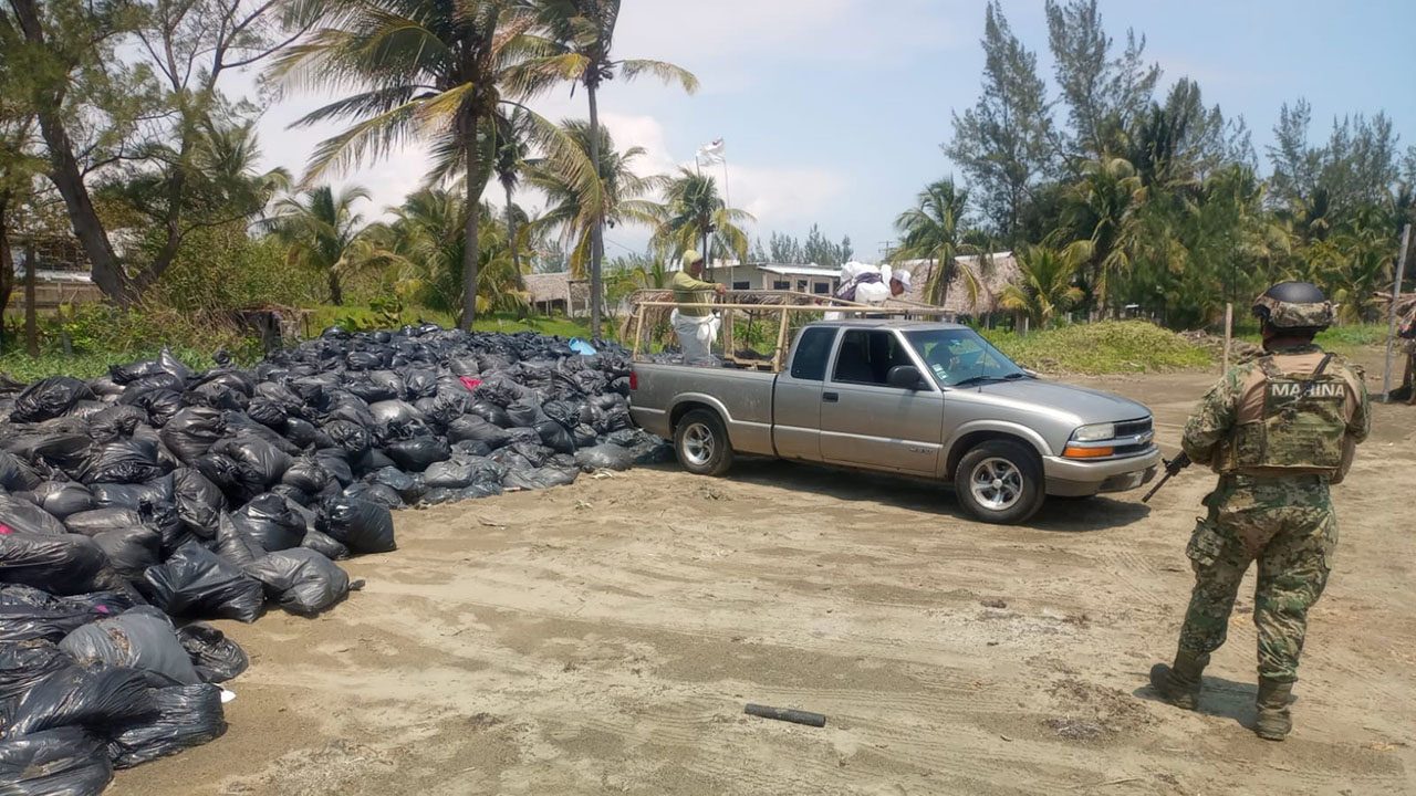Marina confirma recolección de sargazo en playas de Pajapan tras inspección