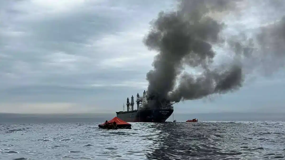 Alianza estratégica en Ormuz blinda el flujo energético frente a Irán