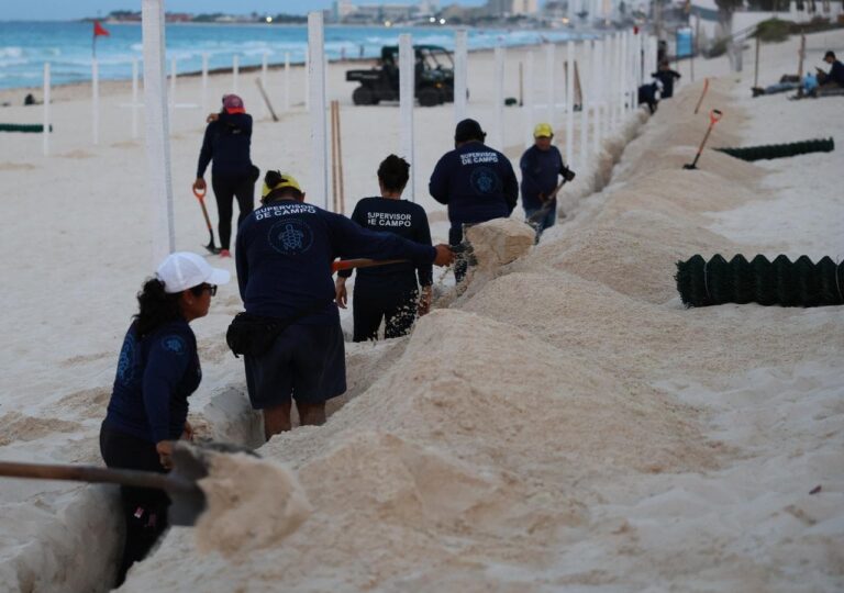 Corral de protección de tortugas marinas en Playa Delfines, Cancún, temporada 2026