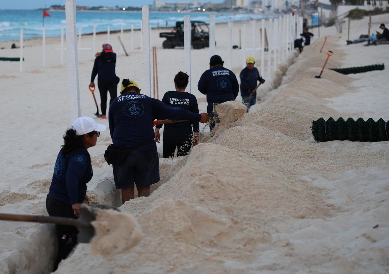 Corral de protección de tortugas marinas en Playa Delfines, Cancún, temporada 2026