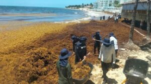 Turistas en playas del Caribe comparando destinos ante la presencia de sargazo y la creciente oferta de República Dominicana.