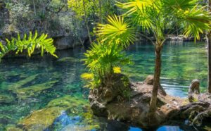 Cenote en Playa del Carmen con muestra de agua analizada por contaminación de bacterias E. coli