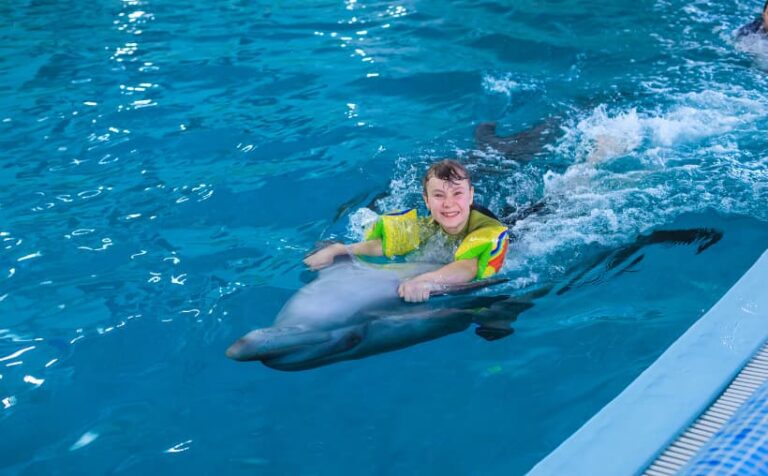 Delfinario Dolphinaris Cancún clausurado por Profepa por condiciones de delfines del Indo-Pacífico