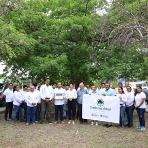 Arbolado urbano de Cancún reconocido con distintivo internacional Tree Cities of the World 2025