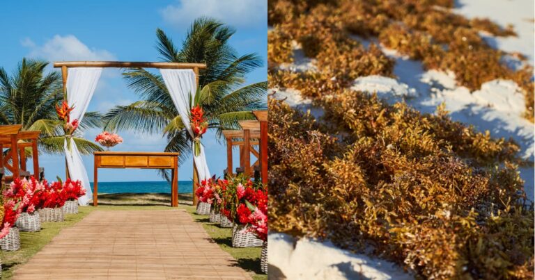 Bodas, sargazo y millones de visitantes: el reto de ordenar el turismo de romance en Quintana Roo
