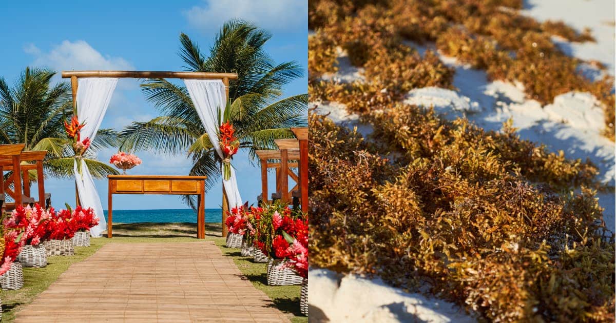 Bodas, sargazo y millones de visitantes: el reto de ordenar el turismo de romance en Quintana Roo