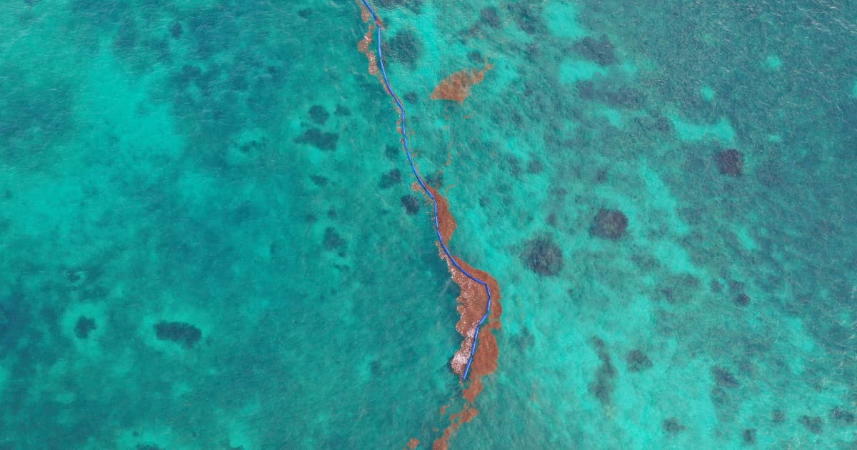 Cómo República Dominicana está enfrentando el sargazo mientras Quintana Roo sigue improvisando