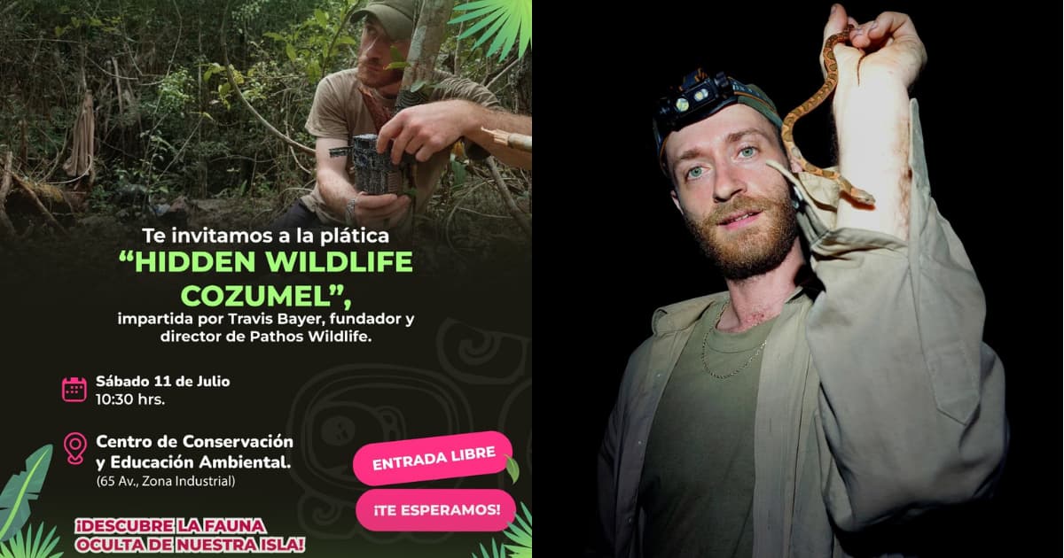 El biólogo que busca al zorro fantasma de Cozumel dará una plática gratuita en la isla