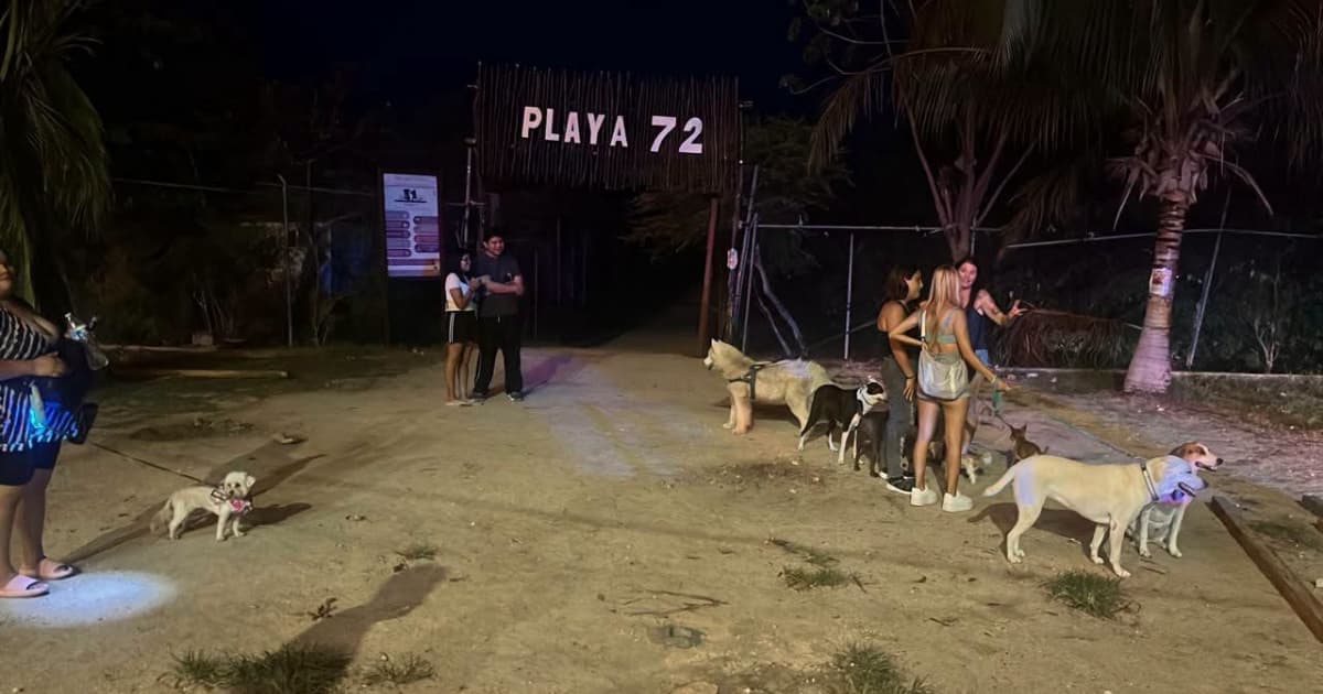 Playa 72 vecinos tiran la malla y frenan el cercado del último pulmón verde sobre la Quinta Avenida