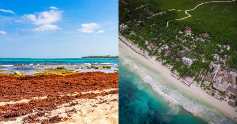 Riviera Maya y Tulum se rezagan mientras Isla Mujeres rompe la barrera de 2025 en pleno verano