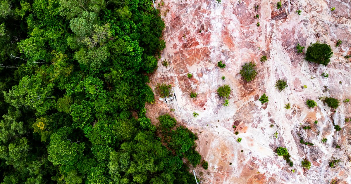 Semarnat da luz verde a la tala de 67 hectáreas de selva para el libramiento del Tren Maya en Cancún