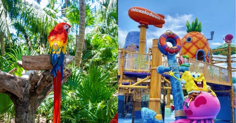 Xcaret y Nickelodeon, los hoteles más usados como anzuelo por estafadores de agencias falsas en Quintana Roo