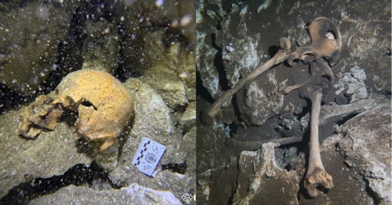 Yatzil, la persona amada el hallazgo de una posible mujer antigua en las profundidades del cenote Yaakun de Playa del Carmen