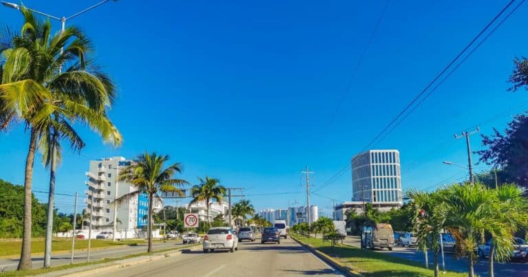 Cancún tendrá reglas claras para crecer sin sacrificar sus manglares Mara Lezama impulsa el ordenamiento ecológico de Benito Juárez