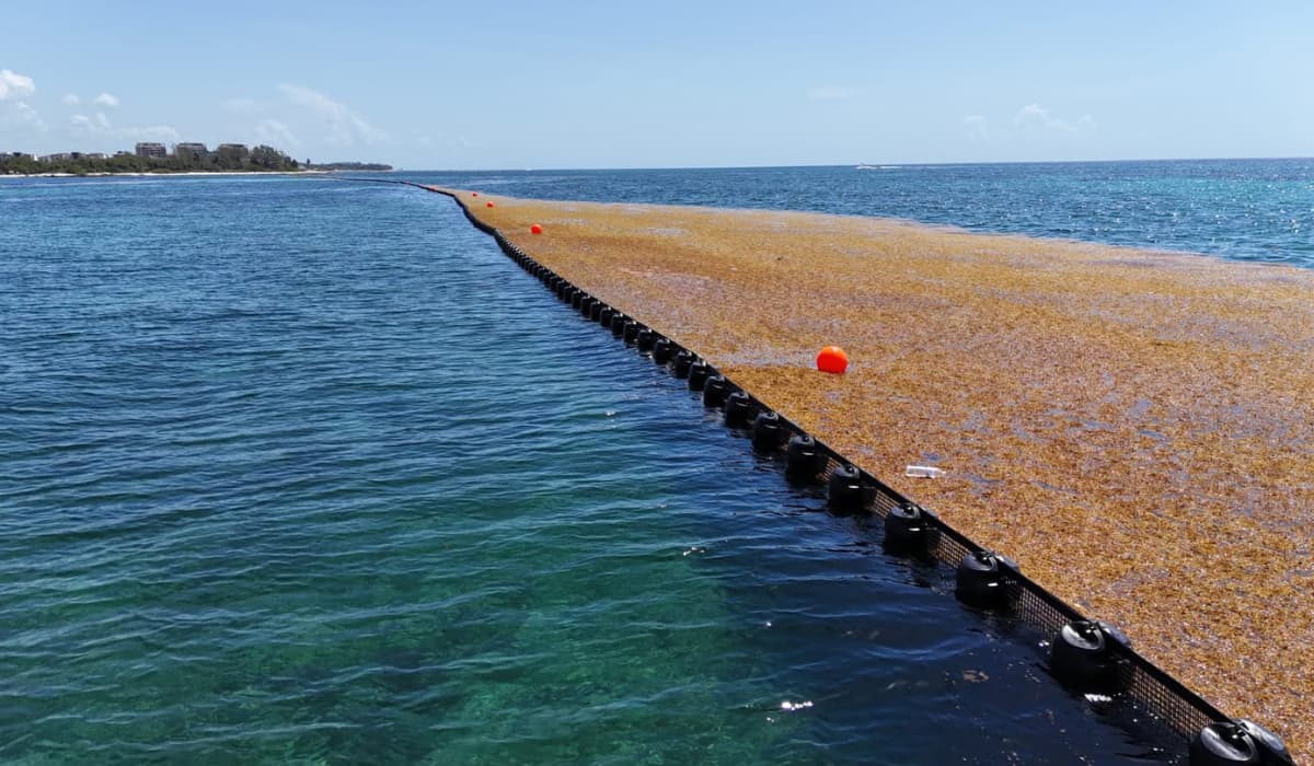 Cinco kilómetros de barreras Playa del Carmen intenta blindar su litoral tras el peor golpe turístico
