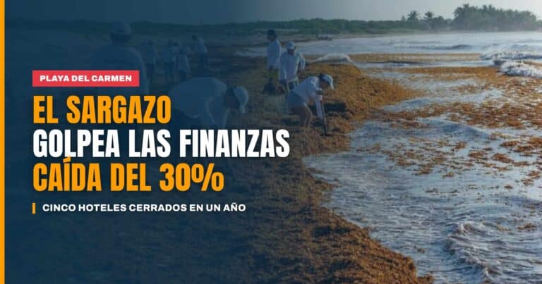 El sargazo golpeó las finanzas de Playa del Carmen caída del 30% y cinco hoteles cerrados en un año