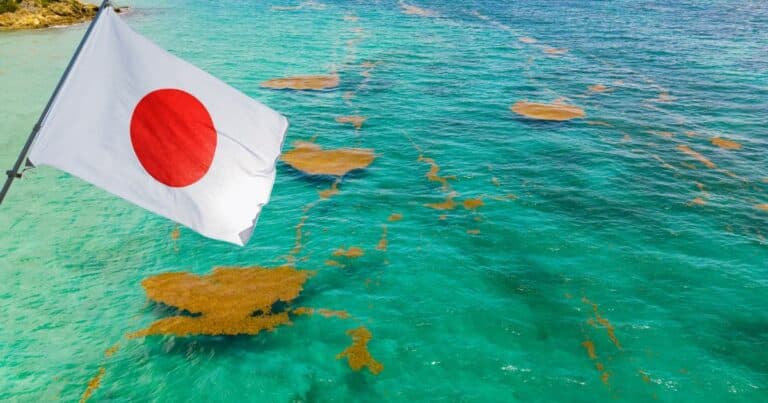Mientras el gobierno federal titubea, Japón tiende la mano a Quintana Roo aportará barcos sargaceros para limpiar el Caribe