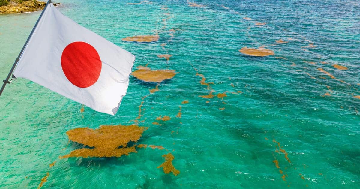 Mientras el gobierno federal titubea, Japón tiende la mano a Quintana Roo aportará barcos sargaceros para limpiar el Caribe