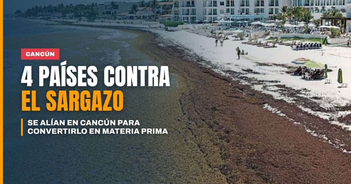 Cuatro países se alían en Cancún para convertir el sargazo en materia prima