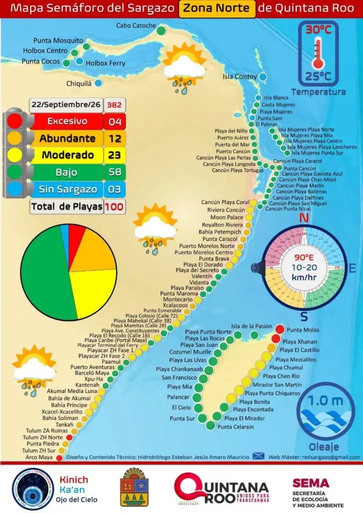 Sargazo en Quintana Roo: el sur sufre con 72.5% de playas afectadas mientras Cancún y la Riviera Maya se mantienen limpias 1 sargazo zona norte 724x1024 1