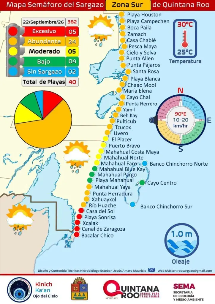 Sargazo en Quintana Roo: el sur sufre con 72.5% de playas afectadas mientras Cancún y la Riviera Maya se mantienen limpias 2 sargazo zona sur 724x1024 1