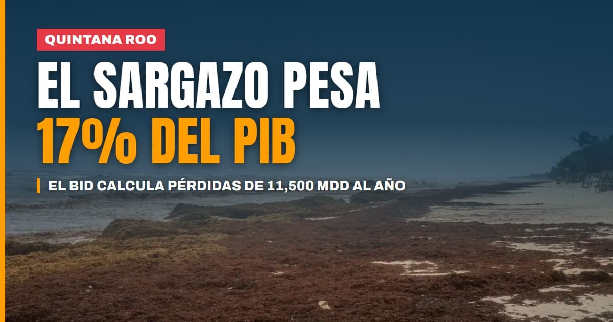 El sargazo ya pesa 17% del PIB de Quintana Roo y el BID calcula pérdidas por 11,500 millones de dólares al año