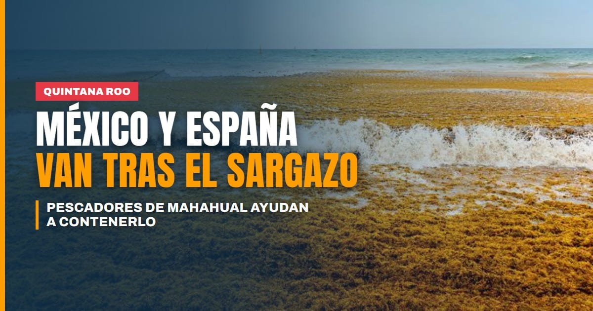México y España van tras el sargazo: pescadores de Mahahual ayudan a diseñar cómo contenerlo y aprovecharlo