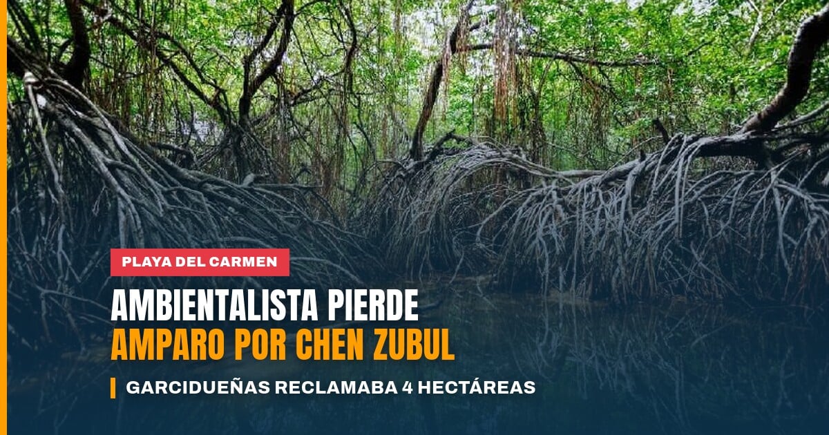 Vista del predio Chen Zubul Playa del Carmen, reducto de selva de unas 40 hectáreas dentro de la mancha urbana